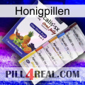 Honeygizer Pills 11